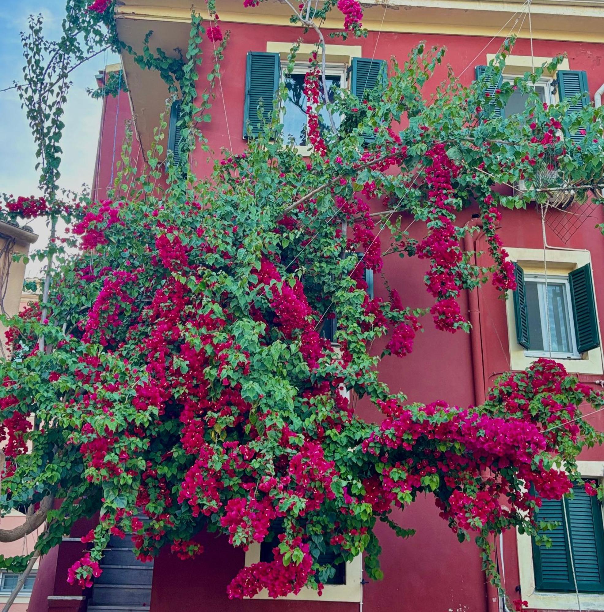 Corfu Port Home Eksteriør bilde